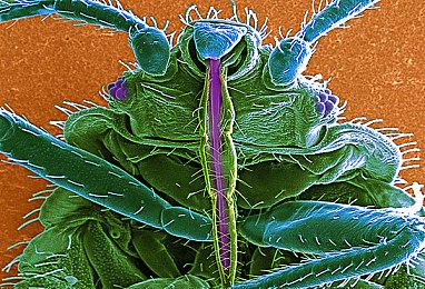 像素风「团地」公寓冒险游戏《Danchi Days》Steam页面开放 2026年发售